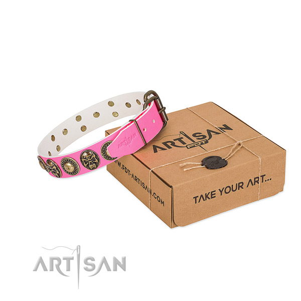 Corrosion resistant hardware on dog collar for everyday use