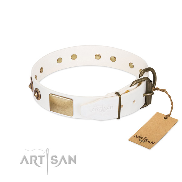 Reliable studs on leather dog collar for your dog