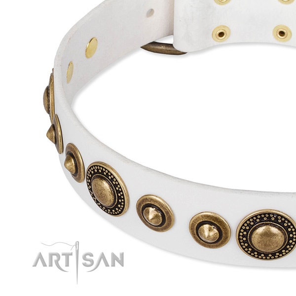 Flexible genuine leather dog collar made for your attractive doggie