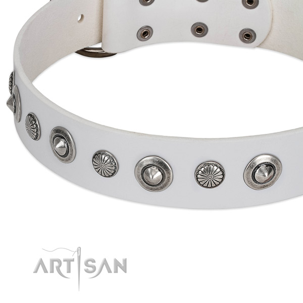Leather collar with reliable buckle for your beautiful pet
