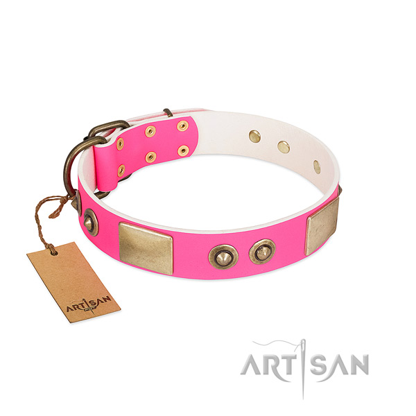 Rust-proof embellishments on full grain genuine leather dog collar for your doggie