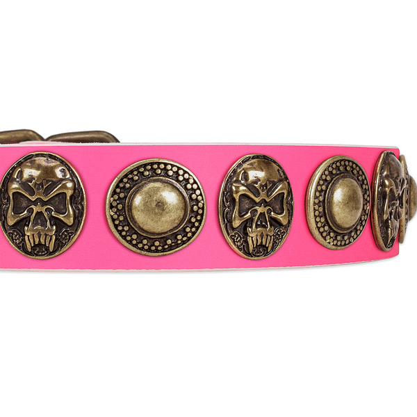 Corrosion proof fittings on genuine leather dog collar for your dog