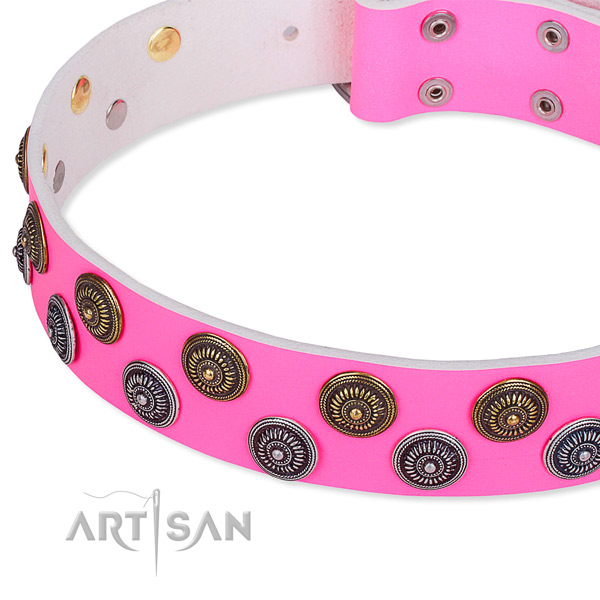 Handy use embellished dog collar of strong natural leather