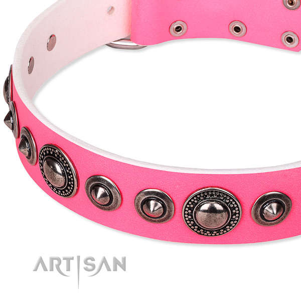 Walking adorned dog collar of high quality full grain natural leather