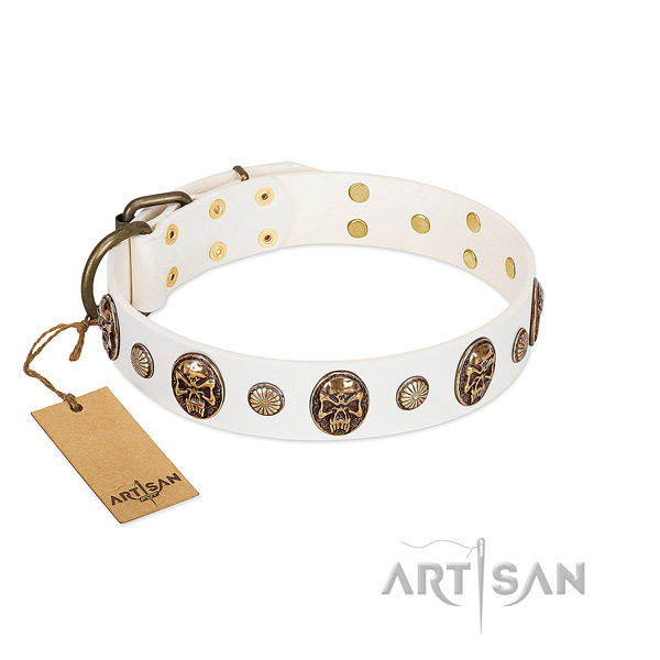 Significant full grain genuine leather dog collar for daily walking