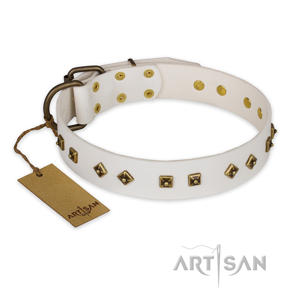 Exceptional leather dog collar with reliable traditional buckle