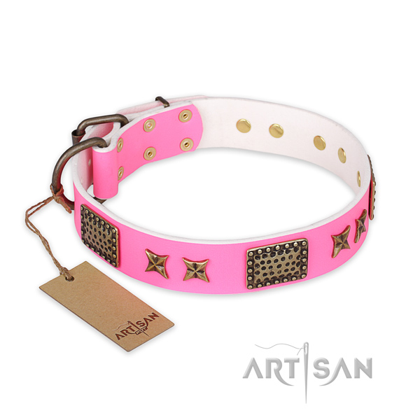 Significant leather dog collar with durable hardware