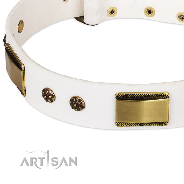 Reliable traditional buckle on leather dog collar for your pet