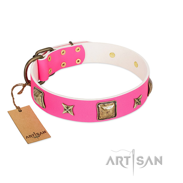 Natural leather dog collar of soft material with incredible adornments
