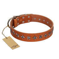 "Star Trek" FDT Artisan Tan Leather Black Russian Terrier Collar Decorated with Stars