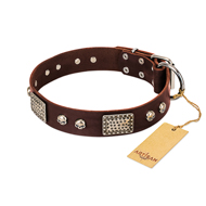 "Pirate Skull" FDT Artisan Brown Leather Black Russian Terrier Collar with Old Silver Look Plates and Skulls