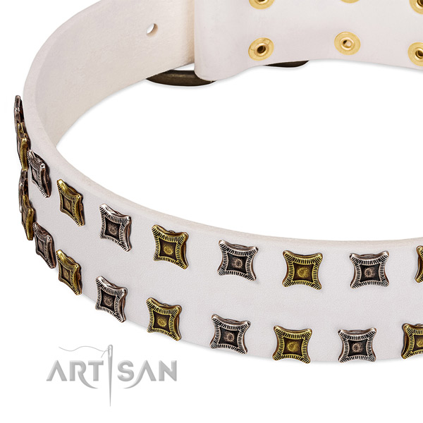 Leather dog collar with decorations for your lovely four-legged friend