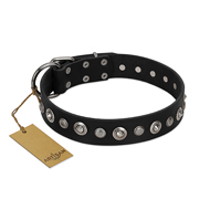 "Genteel Charm" FDT Artisan Black Leather Black Russian Terrier Collar with Silver-like Round Conchos