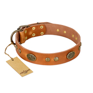 "Sun Beams" FDT Artisan Tan Leather Black Russian Terrier Collar with Decorations