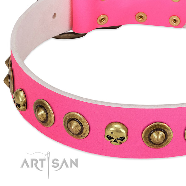 Amazing decorations on full grain leather collar for your doggie