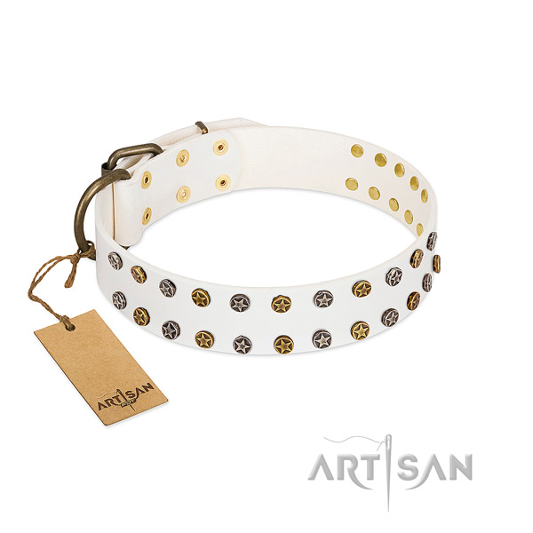 Extraordinary genuine leather dog collar with reliable embellishments