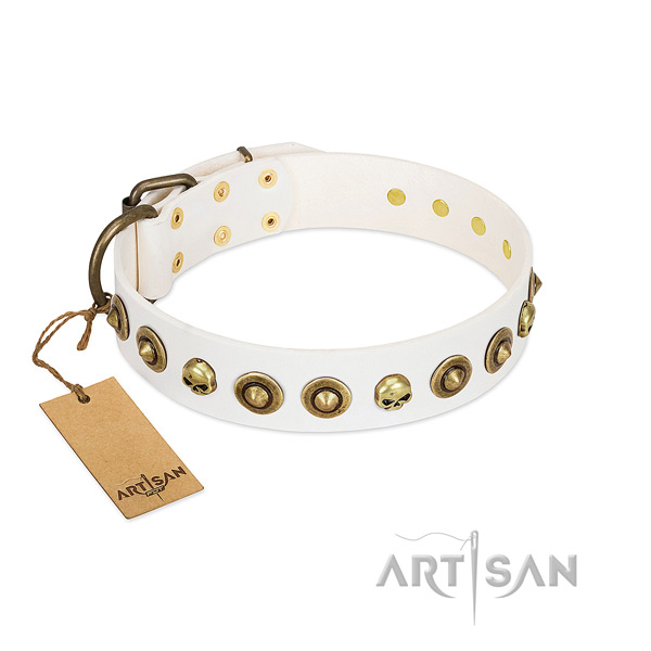 Genuine leather collar with top notch studs for your canine