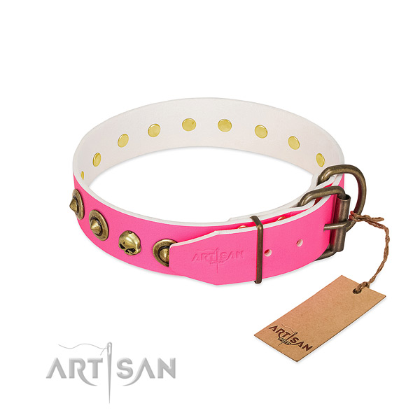 Natural leather collar with designer decorations for your four-legged friend
