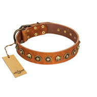 "Prez of the Pack" FDT Artisan Tan Leather Black Russian Terrier Collar with Skulls and Brooches