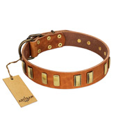 "Olive Slice" FDT Artisan Tan Leather Black Russian Terrier Collar with Engraved and Smooth Plates