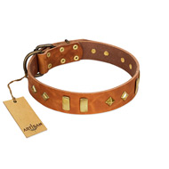 "Woofy Dawn" FDT Artisan Tan Leather Black Russian Terrier Collar with Plates and Rhombs