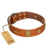 "Space Warrior" FDT Artisan Tan Leather Black Russian Terrier Collar with Ovals and Stars