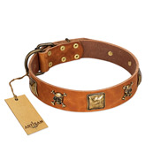"Knights Templar" FDT Artisan Tan Leather Black Russian Terrier Collar with Skulls and Crossbones Combined with Squares