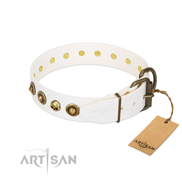 Full grain leather collar with unique embellishments for your pet