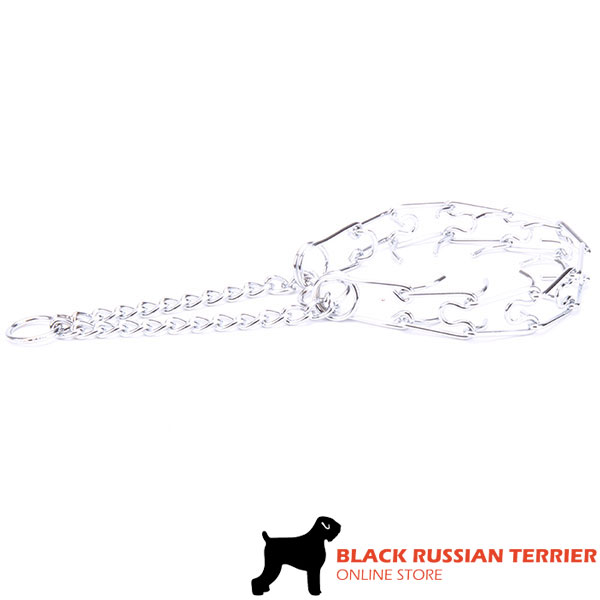 Chrome plated steel dog prong collar for obedience training dogs