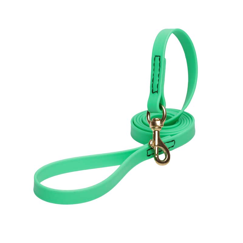 Green Waterproof Black Russian Terrier Leash Made of Biothane