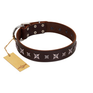 "Stellar Fairy " FDT Artisan Brown Leather Black Russian Terrier Collar with Chrome-plated Star-like Decorations