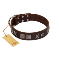 "Needle Stories" Modern FDT Artisan Brown Leather Black Russian Terrier Collar with Square Engraved Plates and Four-Point Stars