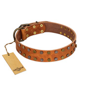 "Walk and Shine" FDT Artisan Tan Leather Black Russian Terrier Collar with Antiqued Studs