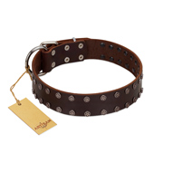 "Star Party" Handmade FDT Artisan Brown Leather Black Russian Terrier Collar with Silver-Like Studs