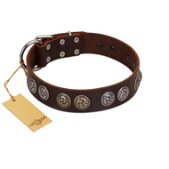 "Treasure Hunter" FDT Artisan Brown Leather Black Russian Terrier Collar with Old-Bronze-like and Silvery Medallions
