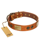 "Bronze Century" FDT Artisan Tan Leather Black Russian Terrier Collar with Plates and Brooches with Cool Ornament