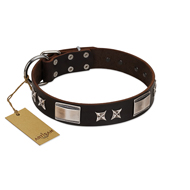 "Satin Beauts" FDT Artisan Brown Leather Black Russian Terrier Collar with Stars and Plates