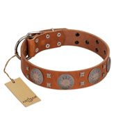 "Sun Rise Noon" FDT Artisan Tan Leather Black Russian Terrier Collar with Unique Design