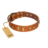 "Sand of Time" FDT Artisan Tan Leather Black Russian Terrier Collar with Old Bronze-like Studs and Plates