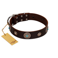 "Magic Stones" FDT Artisan Brown Leather Black Russian Terrier Collar with Chrome Plated Brooches and Studs