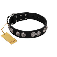 "Magic Amulete" Handcrafted FDT Artisan Black Leather Black Russian Terrier Collar with Chrome-Plated Shields