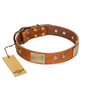 "Ancient Treasures" FDT Artisan Tan Leather Black Russian Terrier Collar with Antiqued Plates and Studs