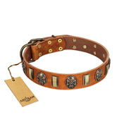 "Strike of Rock" FDT Artisan Tan Leather Black Russian Terrier Collar with Plates and Medallions with Skulls
