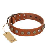 "Dogue-Vogue" FDT Artisan Tan Leather Black Russian Terrier Collar with Engraved Chrome-plated Studs