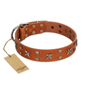 "Faraway Galaxy" FDT Artisan Tan Leather Black Russian Terrier Collar Adorned with Stars and Squares