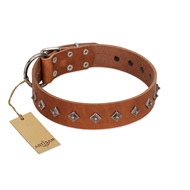 "Broadway" Handmade FDT Artisan Tan Leather Black Russian Terrier Collar with Dotted Pyramids