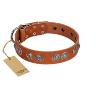 "Woofy Majesty" FDT Artisan Tan Leather Black Russian Terrier Collar with Round Silver-like Plates