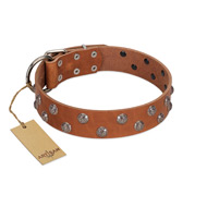 "Waltz of the Flowers" Handmade FDT Artisan Tan Leather Black Russian Terrier Collar with Chrome-plated Engraved Studs
