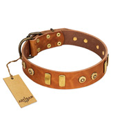 "Egyptian Script" FDT Artisan Tan Leather Black Russian Terrier Collar with Plates and Small Studs
