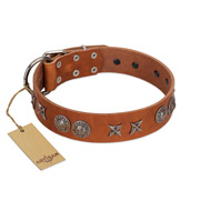 "Splendid Armor" Premium Quality FDT Artisan Tan Designer Black Russian Terrier Collar with Shields and Stars